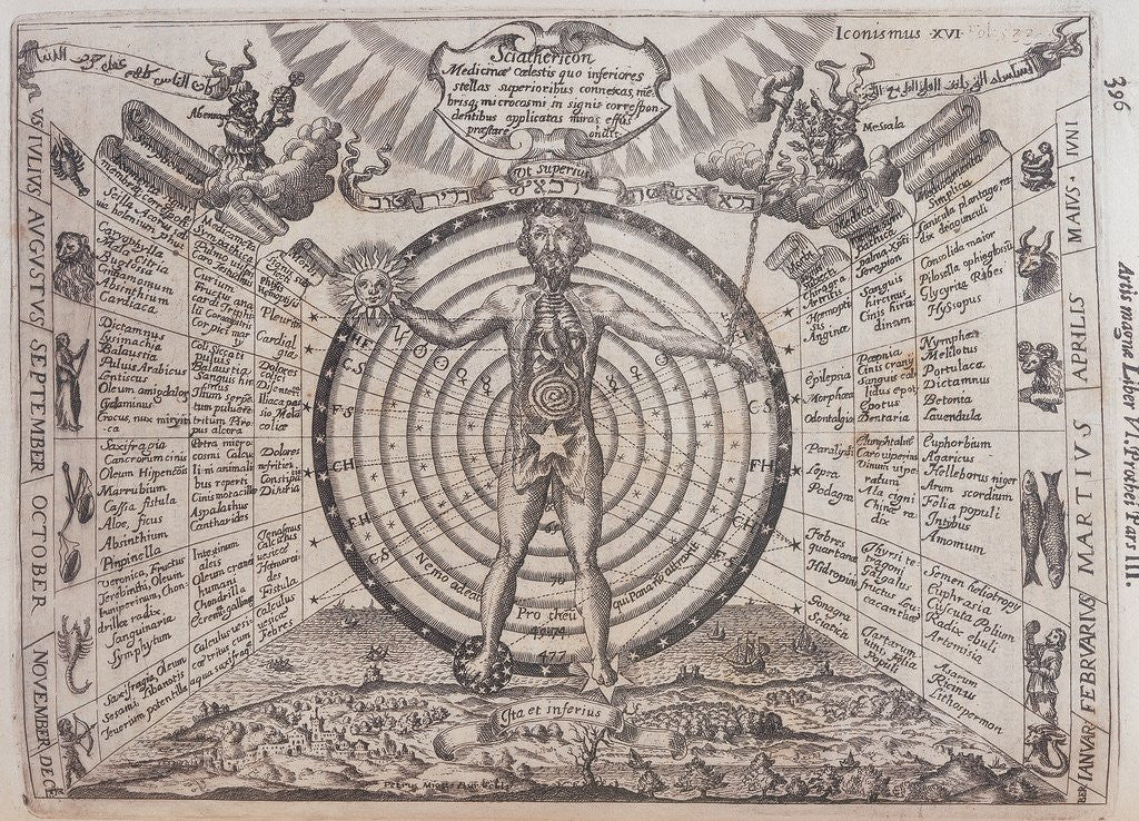Detail of Astrological chart by Anonymous