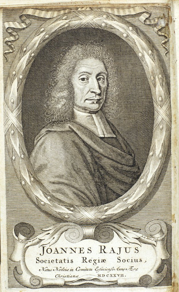 Detail of John Ray by Anonymous