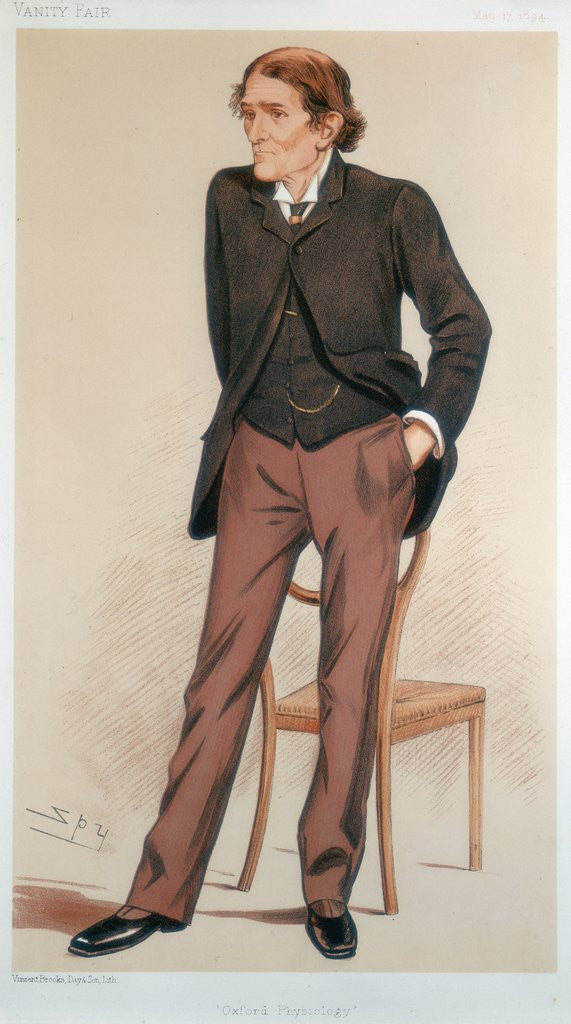 Detail of John Scott Burdon-Sanderson by Anonymous