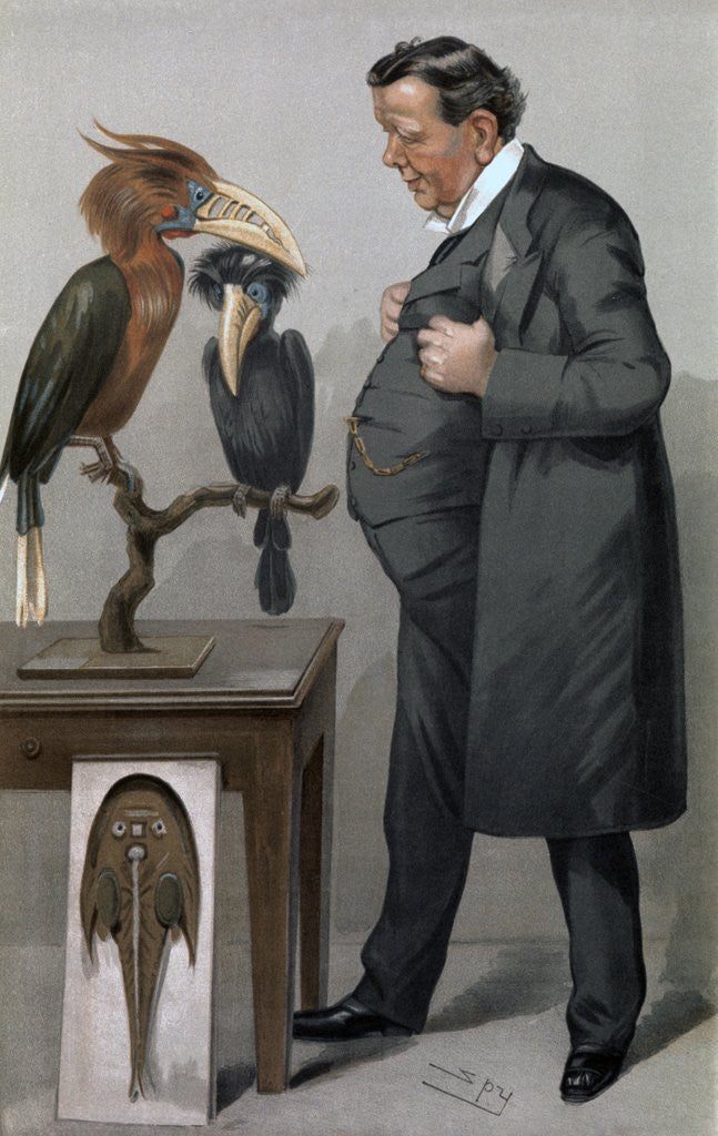 Detail of Edwin Ray Lankester by Anonymous