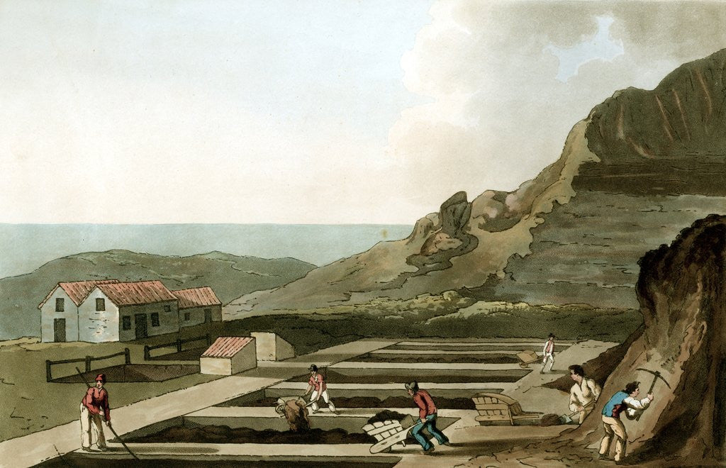 Detail of Alum works in Yorkshire by Anonymous