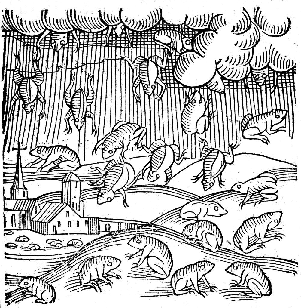 Detail of Rain of frogs recorded in 1355 by Anonymous