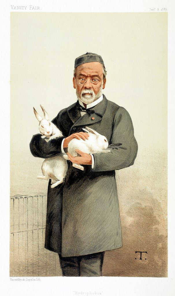 Detail of Louis Pasteur by Anonymous