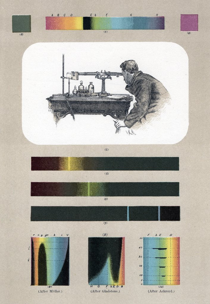 Detail of Spectroscopy by Anonymous