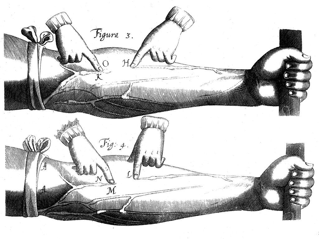 Detail of Circulation of the blood by Anonymous