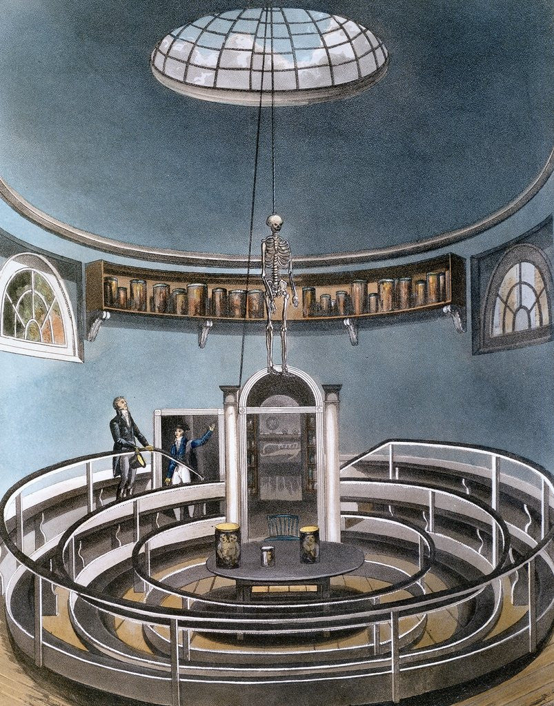 Detail of Anatomy theater at University of Cambridge by Anonymous