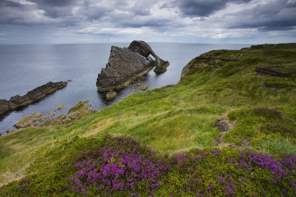 Detail of Bow Fiddle Rock, Portknockie, Scotland by Anonymous