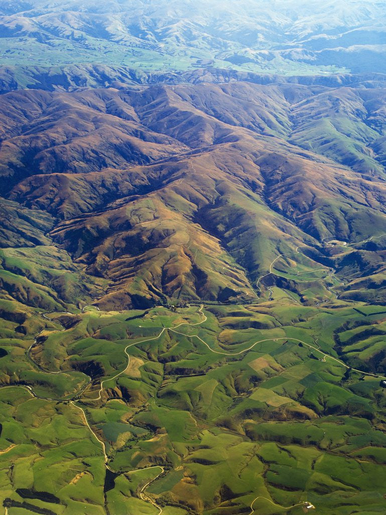 Detail of Rolling hills in Southland Region of New Zealand by Anonymous