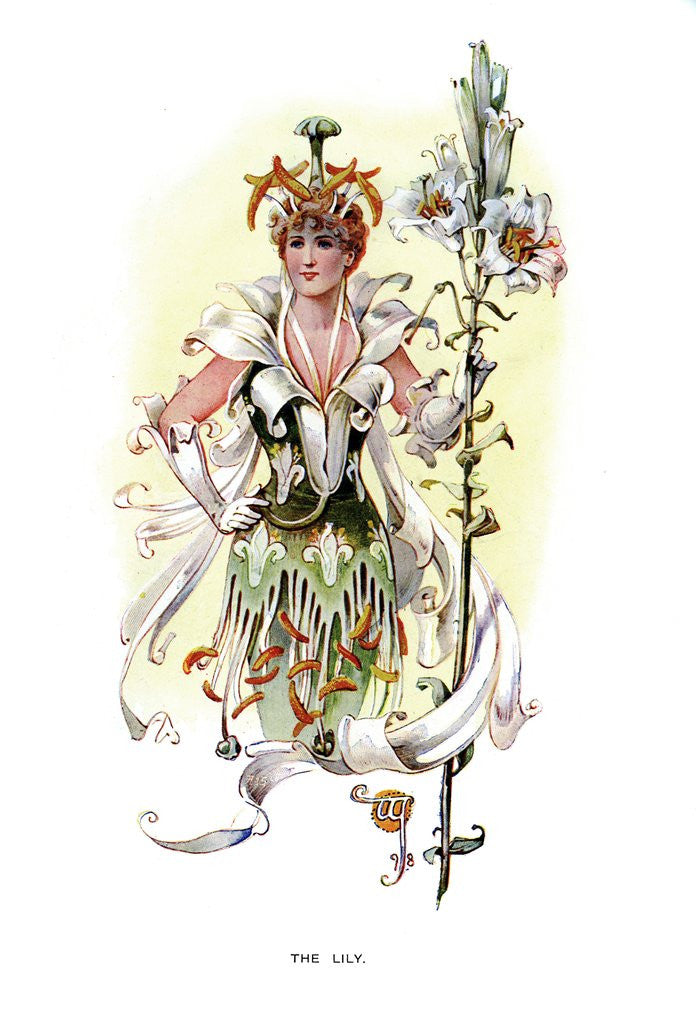 Detail of The Lily by Anonymous