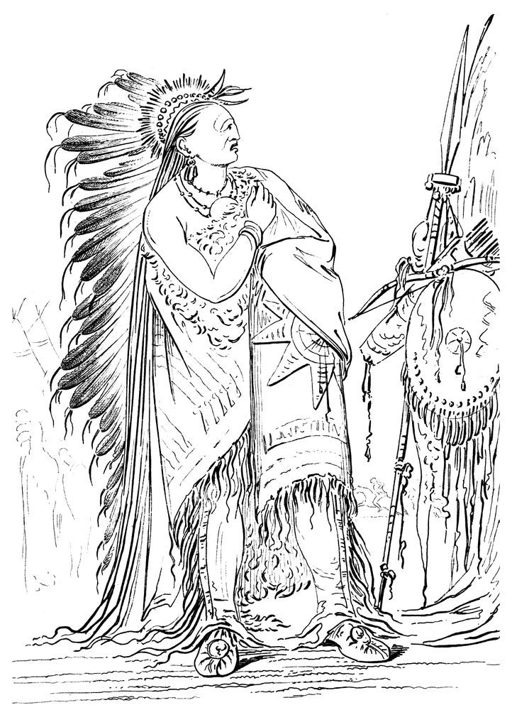 Detail of Two Crows by George Catlin