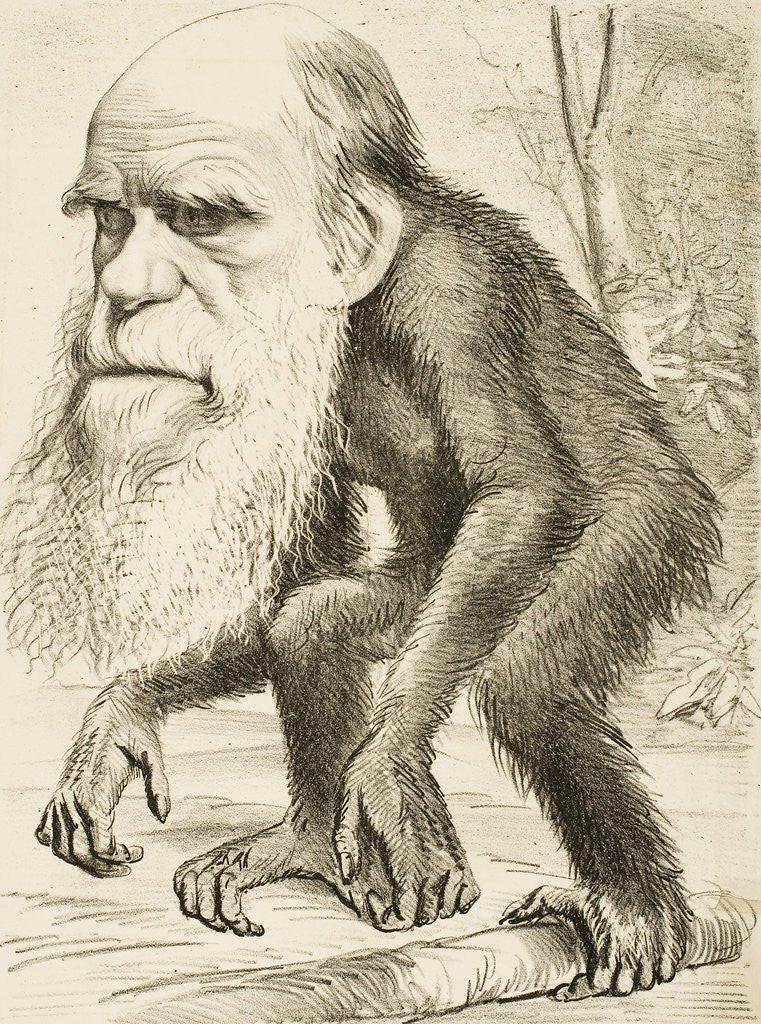 Detail of Caricature of Charles Darwin by Anonymous