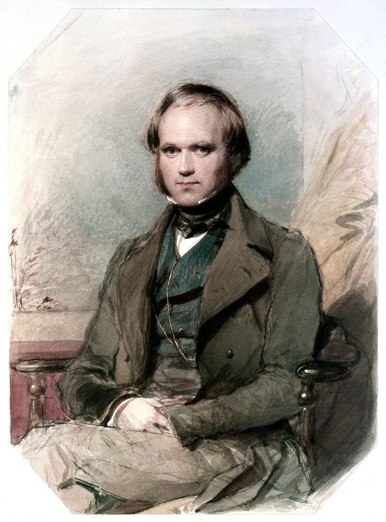 Detail of Charles Darwin by Anonymous