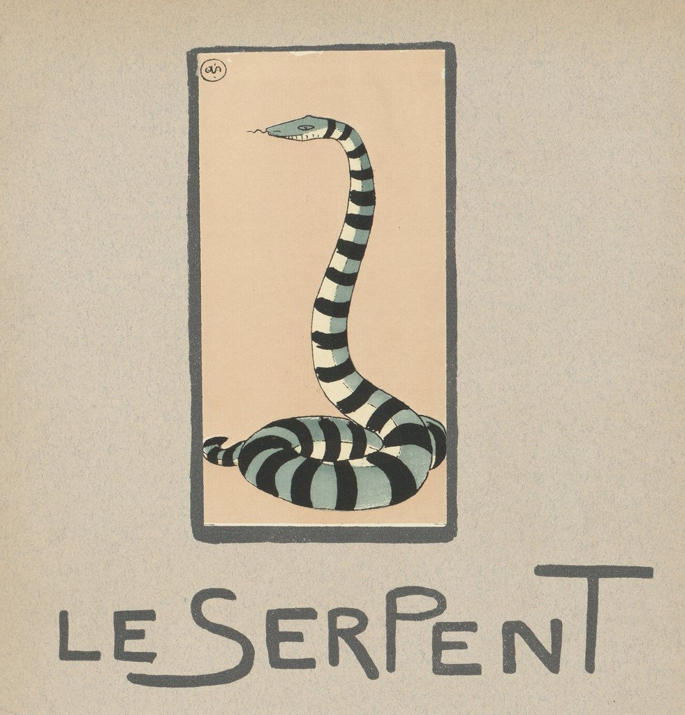 Detail of Striped snake by Anonymous