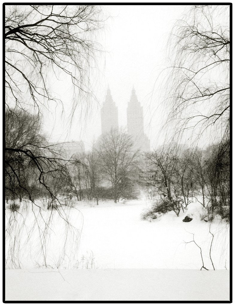 Detail of Central Park Snow by Anonymous