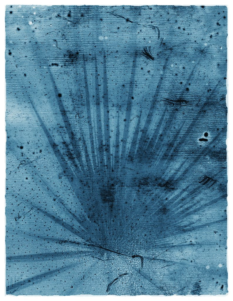 Detail of Palmetto Palm by Anonymous