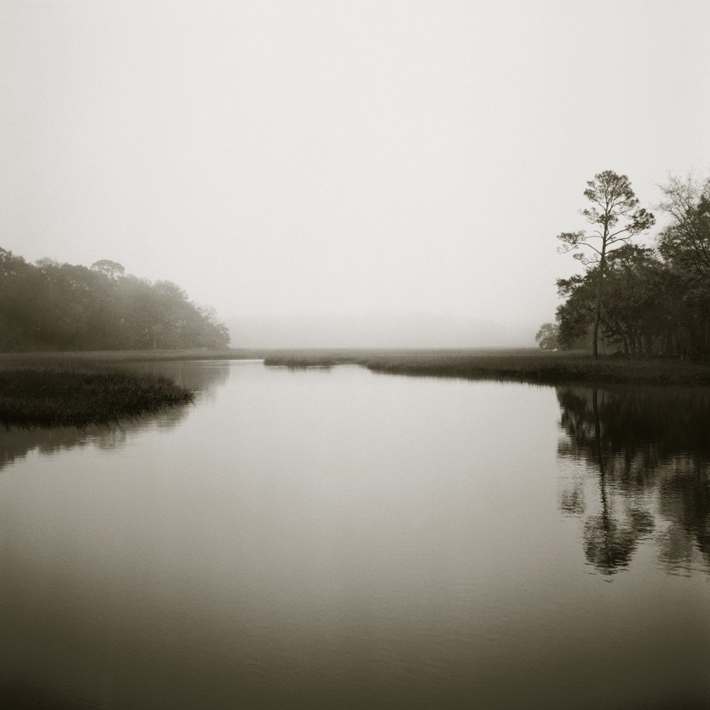 Detail of Neptune Beach Marsh by Anonymous