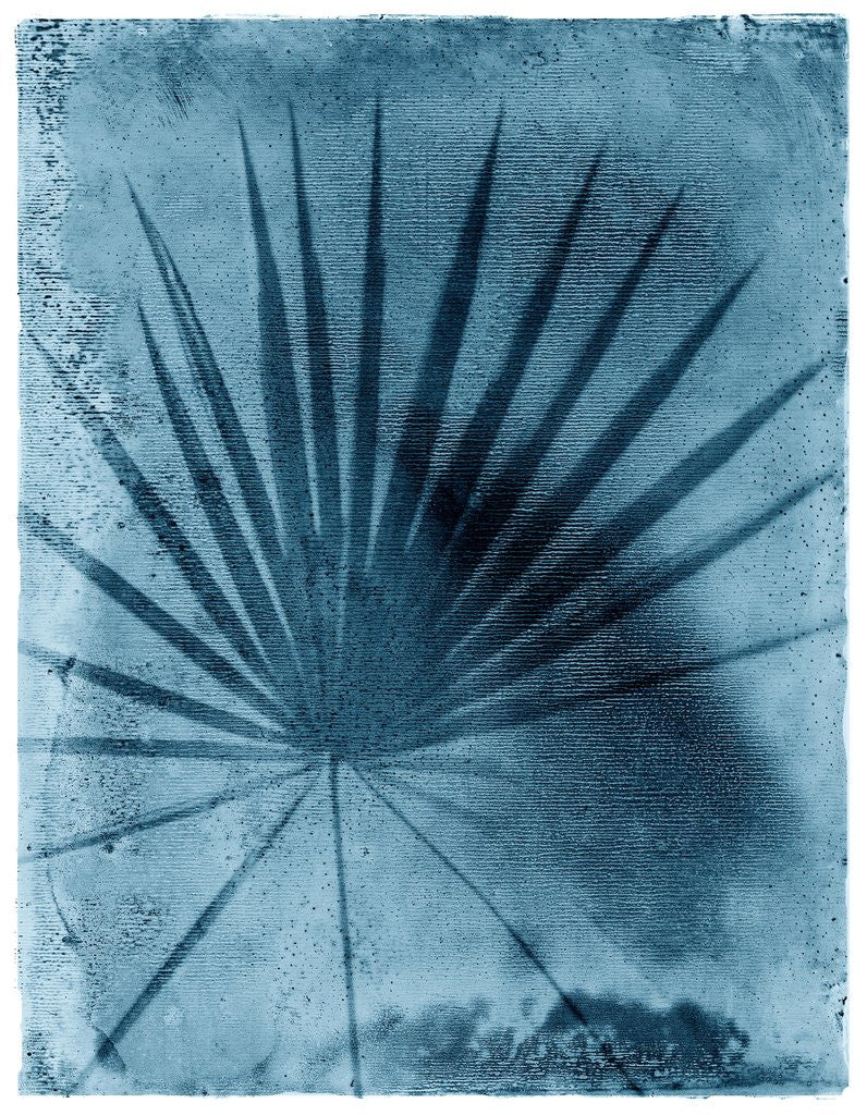 Detail of Palmetto Palm by Anonymous