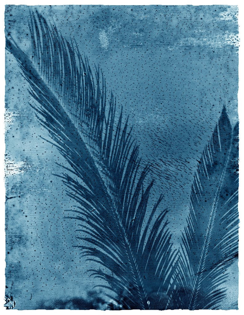 Detail of Sago Palm by Anonymous