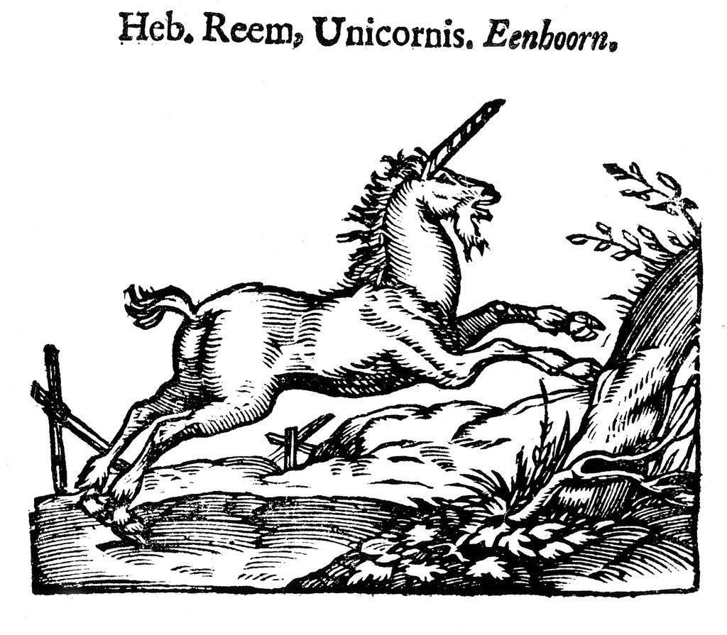 Detail of Unicorn by Anonymous