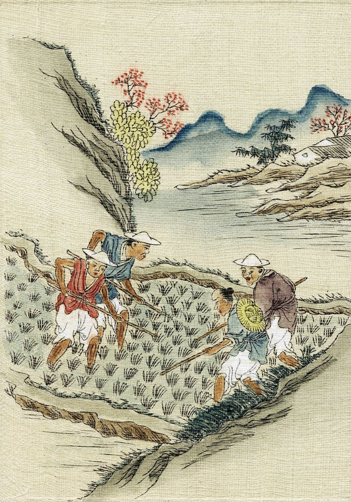 Detail of Workers cultivating rice by Anonymous