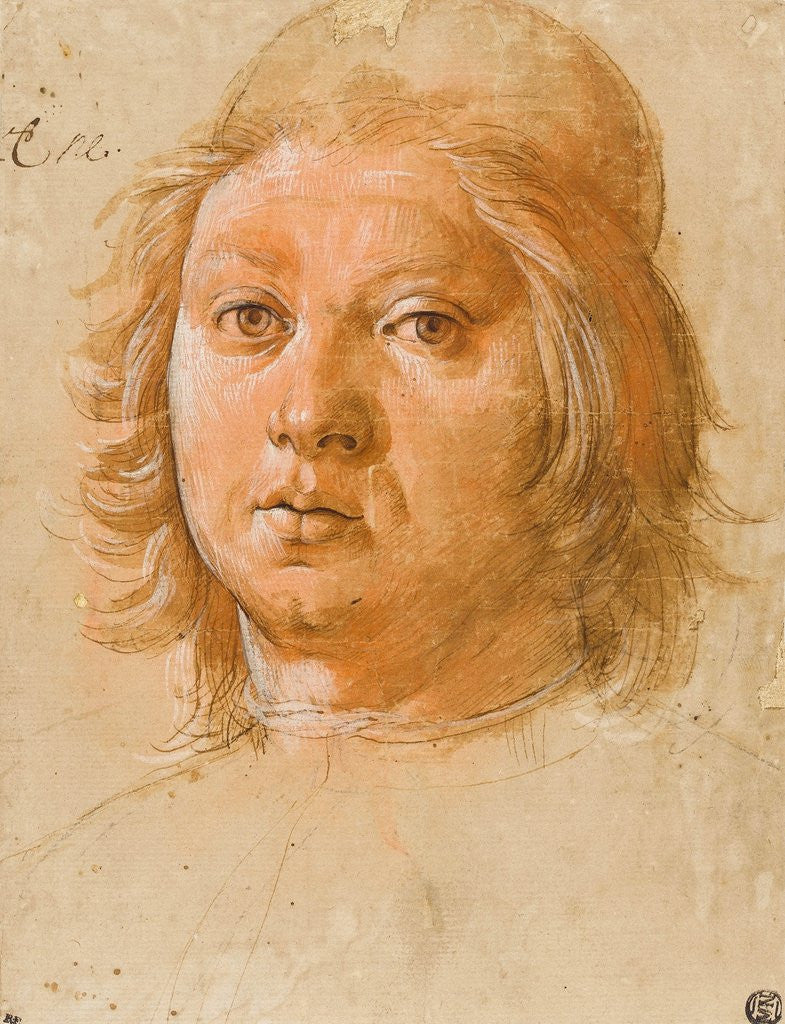 Detail of Head of a Young Man Wearing a Beret by Pietro Perugino