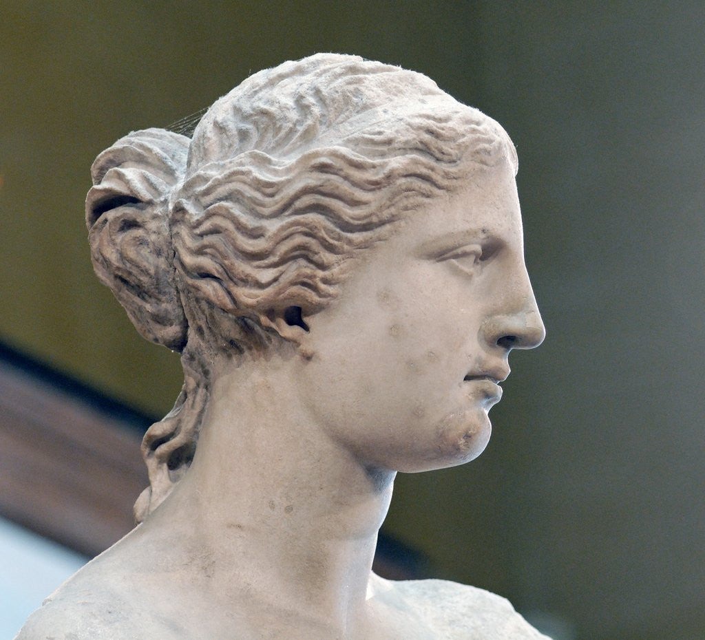 Detail of Head of Venus de Milo by Anonymous