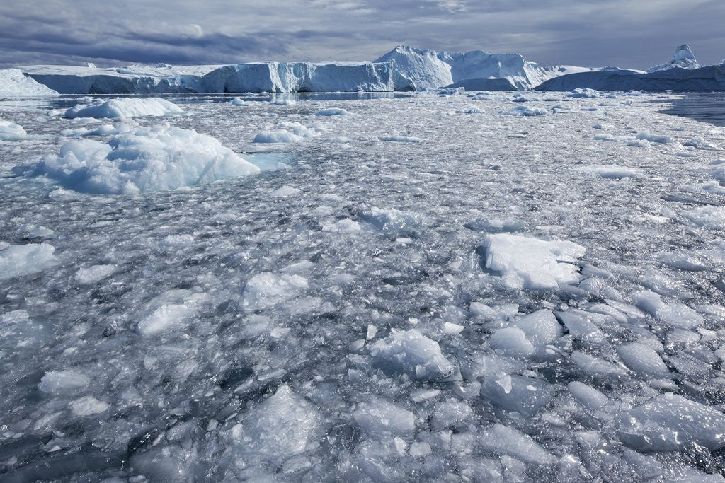 Detail of Jakobshavn Glacier on Disko Bay in Greenland by Anonymous