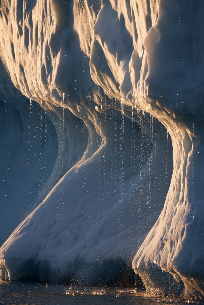 Detail of Melting iceberg in Disko Bay in Greenland by Anonymous