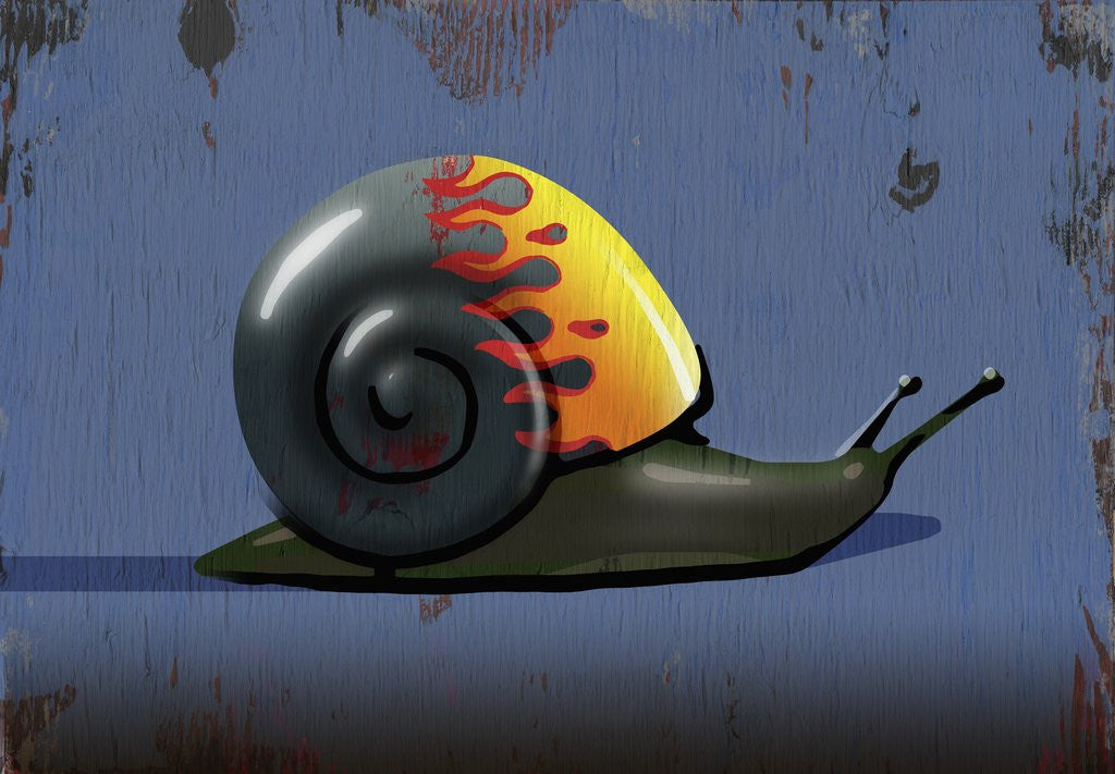 Detail of Hot Rod Snail by Anonymous