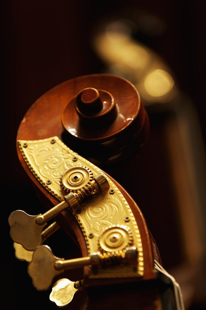 Detail of Double bass headstock by Anonymous