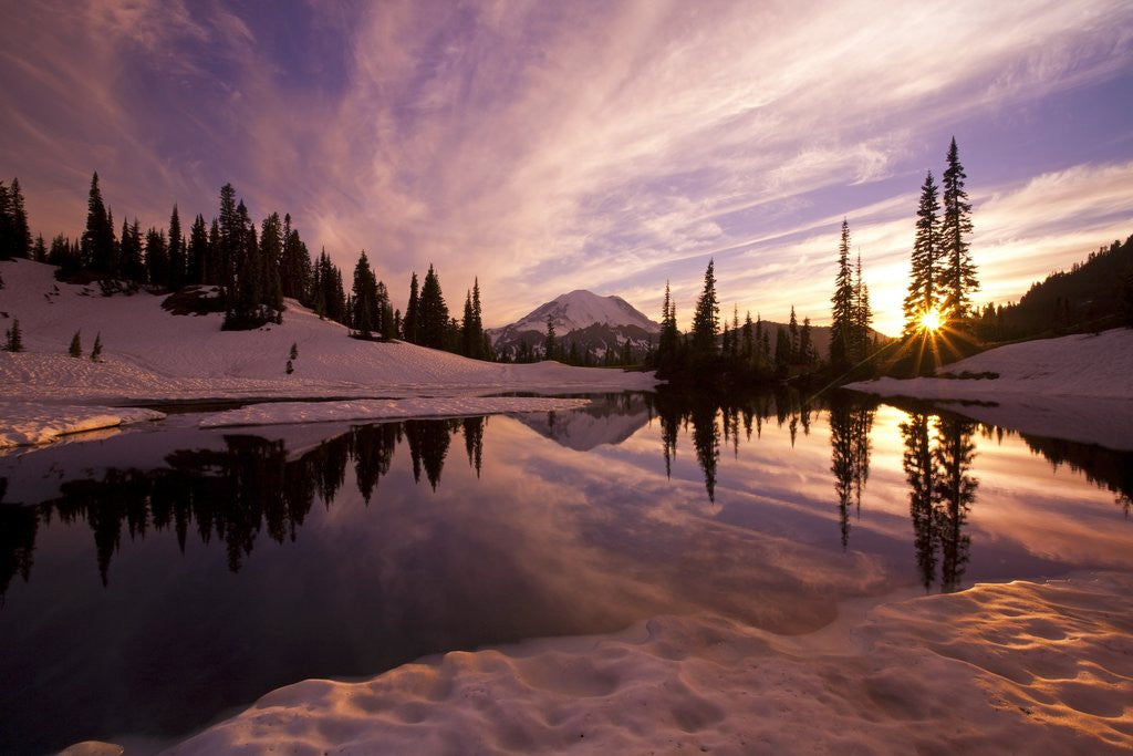 Detail of Sunrise at Tipsoo Lakes and Mount Rainier by Anonymous