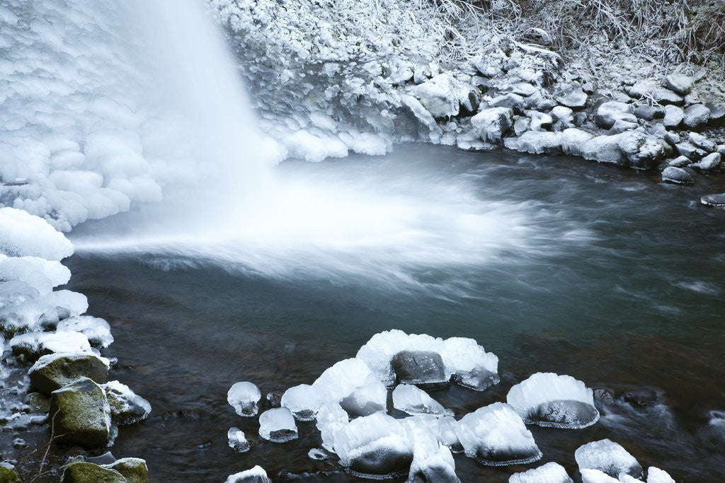 Detail of Snowy waterfall in winter by Anonymous