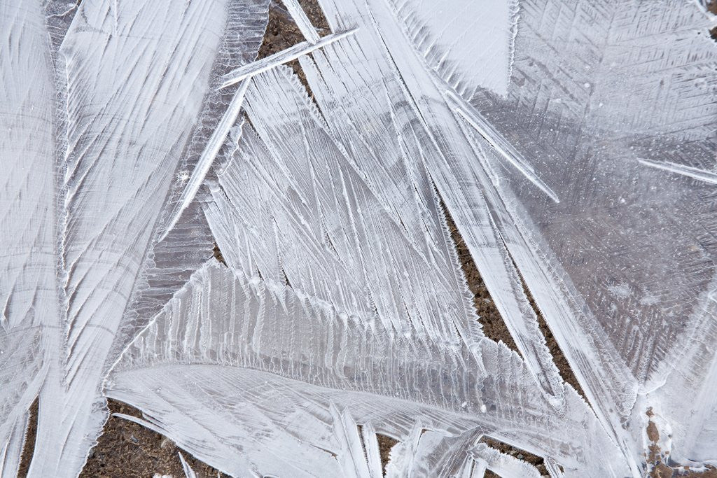 Detail of Ice crystals over creek by Anonymous