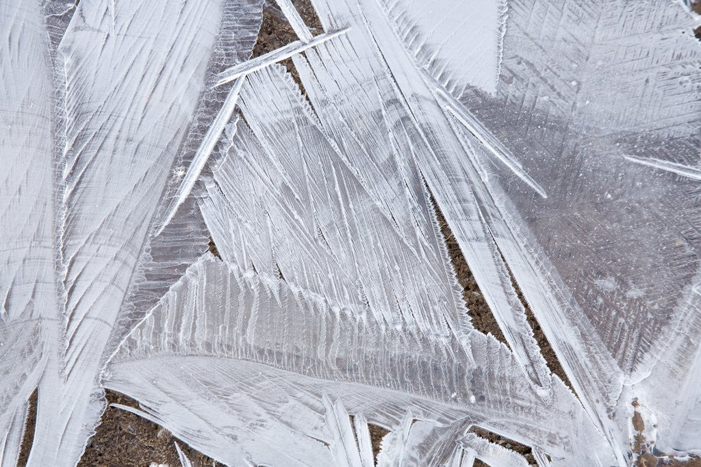 Detail of Ice crystals over creek by Corbis