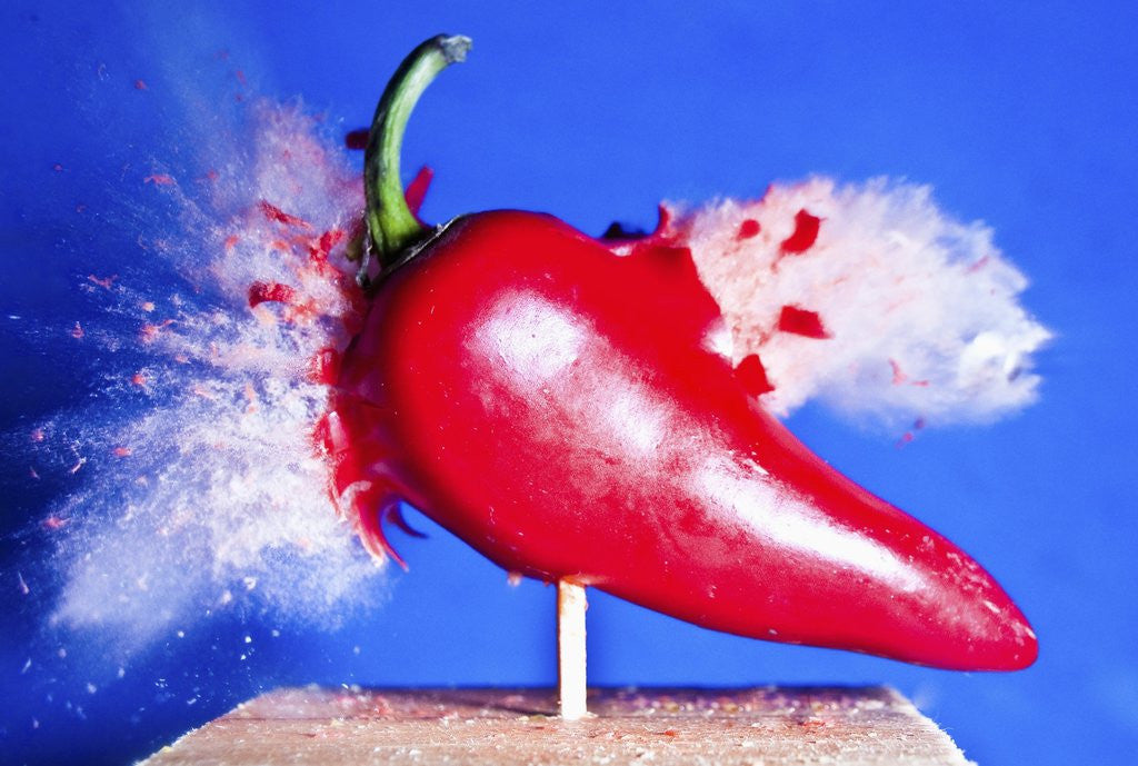 Detail of Red Hot Pepper by Anonymous