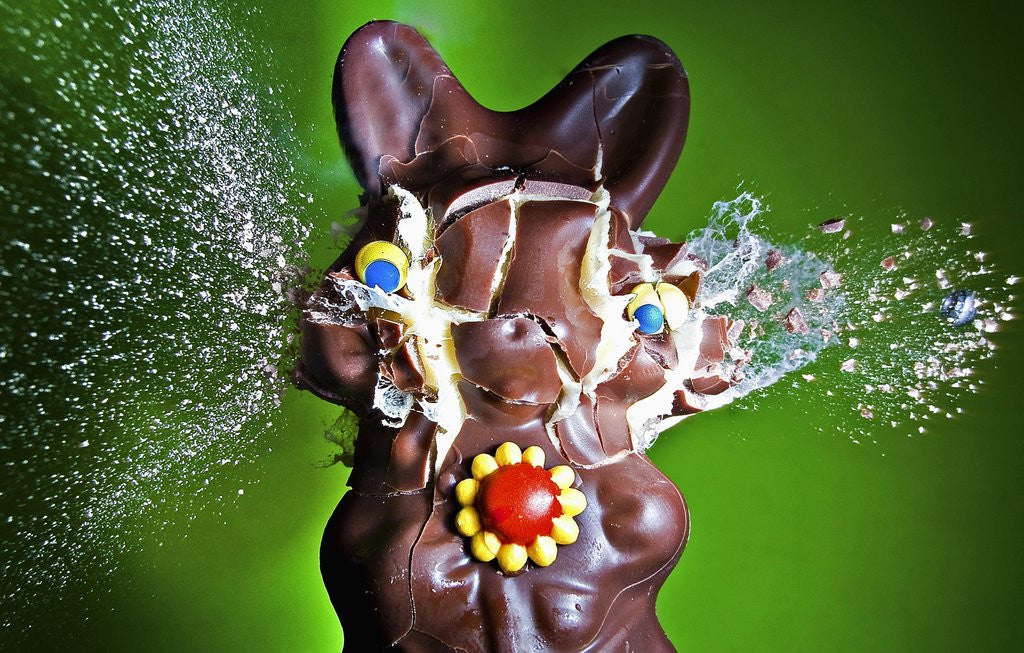 Detail of Dum Dum Bunny by Anonymous