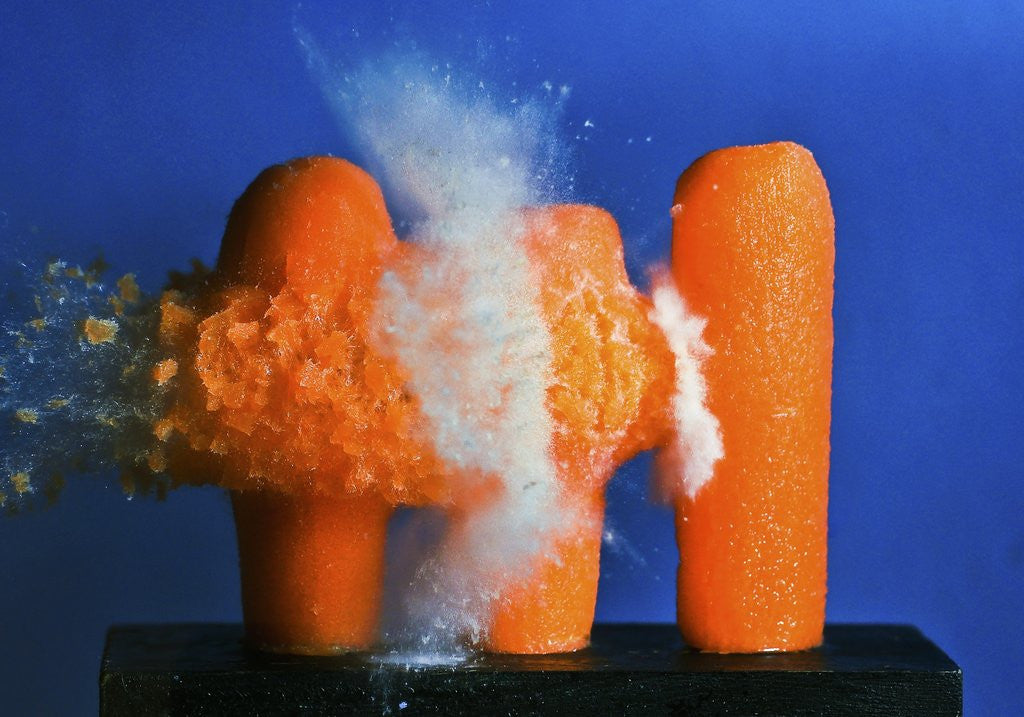 Detail of Carrot Catastrophe by Anonymous