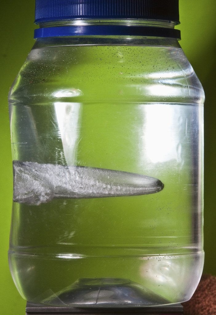 Detail of Water Figure by Anonymous