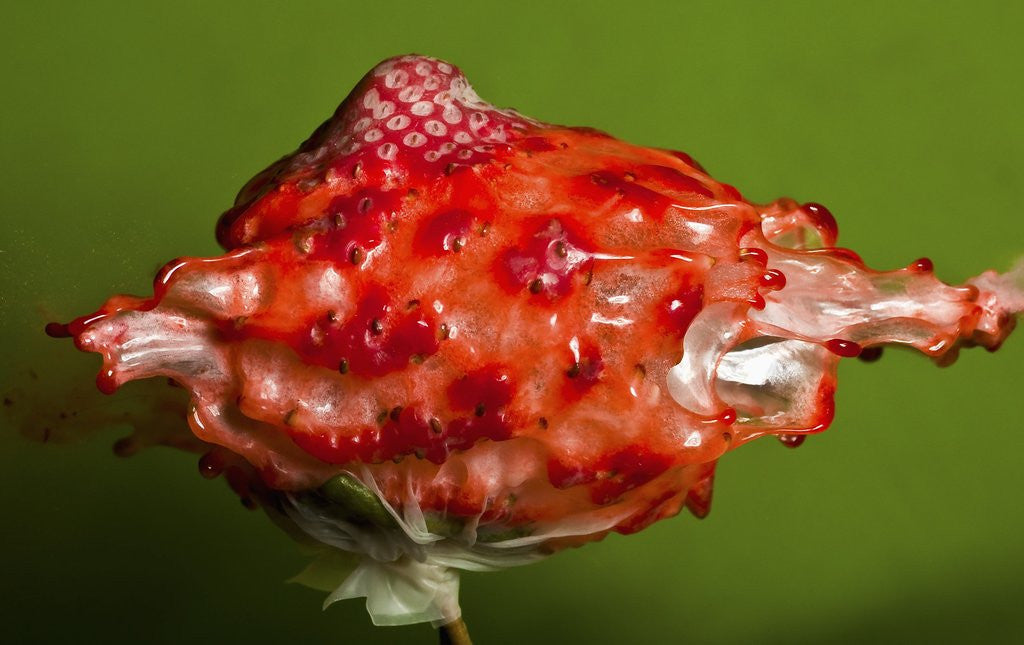 Weird Strawberry by Corbis