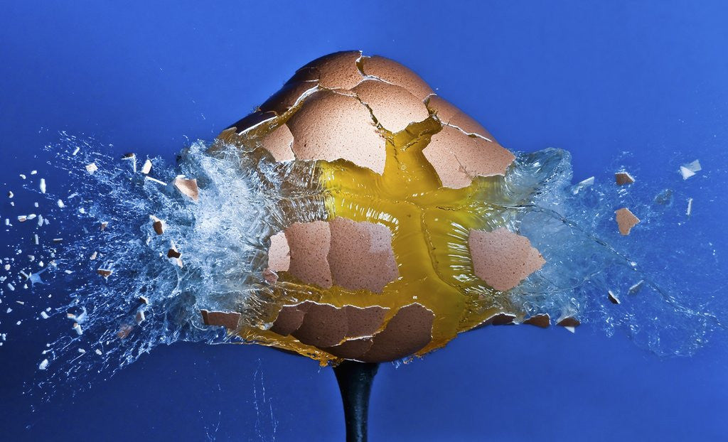 Detail of Eggceptional by Anonymous