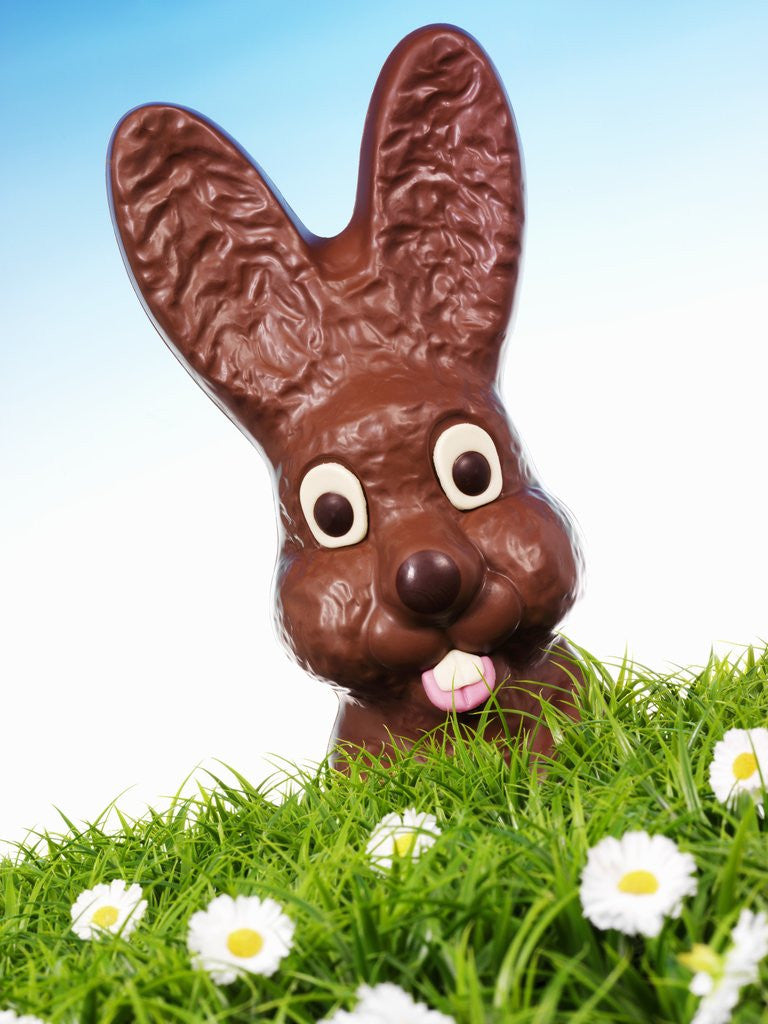 Detail of Chocolate Easter Bunny in Easter grass by Corbis