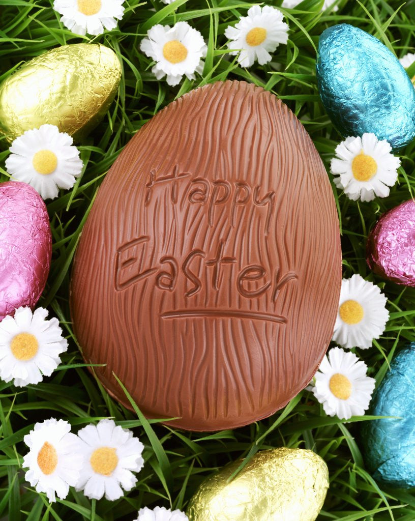 Detail of Chocolate Easter eggs in grass by Anonymous