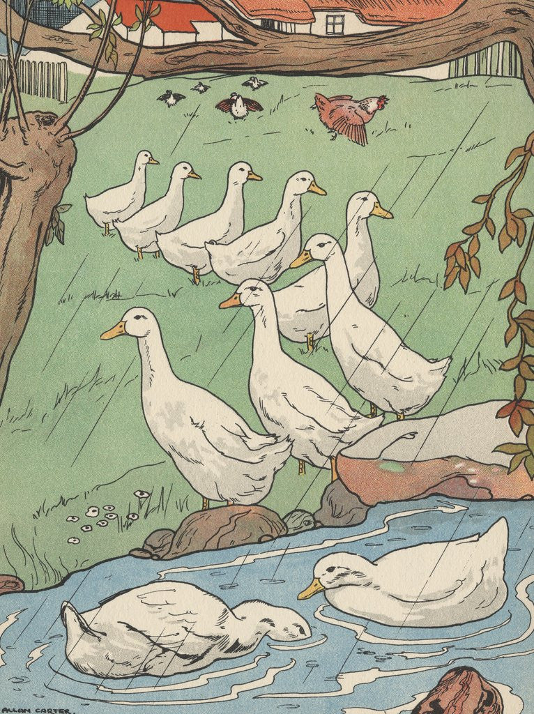 Detail of Illustration of white geese in rain by Anonymous
