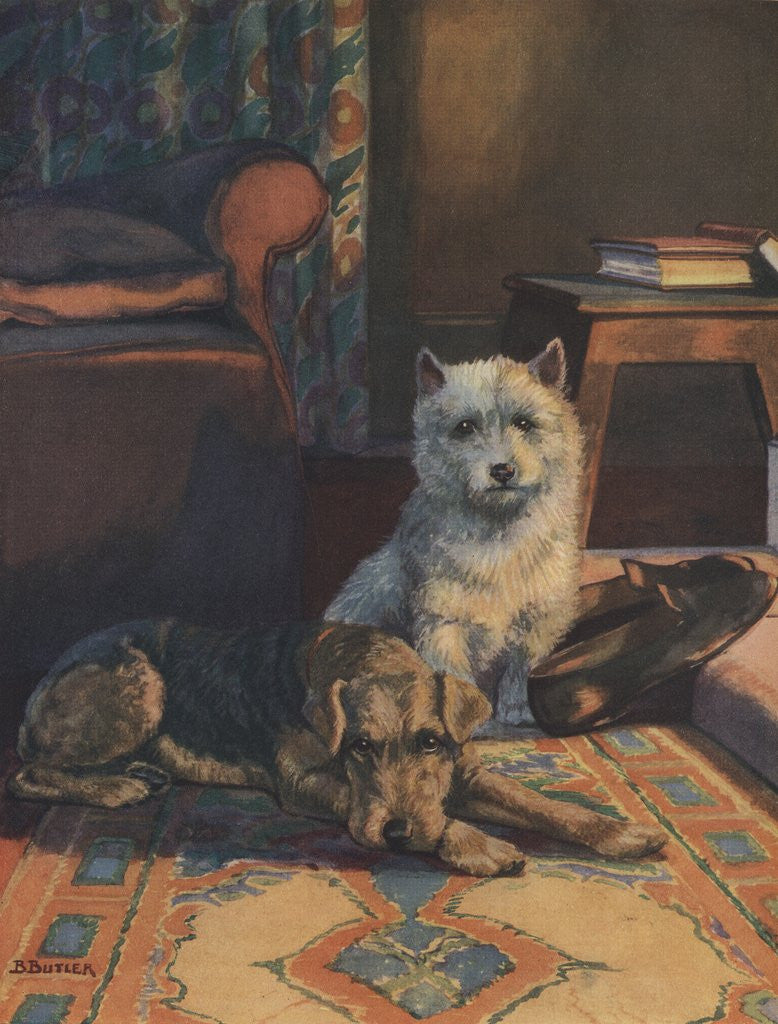 Detail of Illustration of dogs with slippers by Anonymous