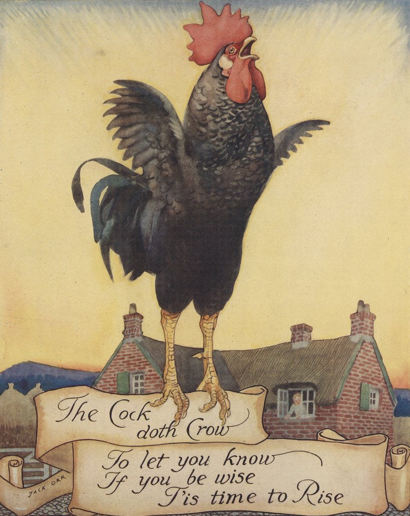 Detail of Illustration of rooster crowing by Anonymous