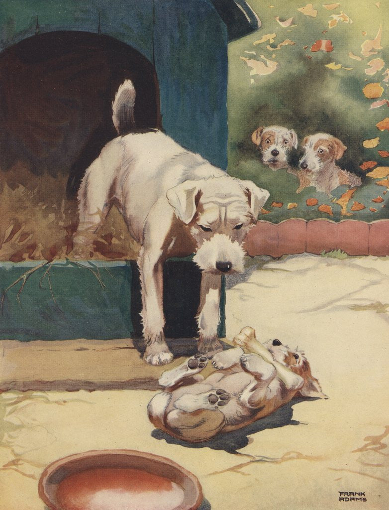 Detail of Illustration of dog looking at another dog holding bone by Anonymous