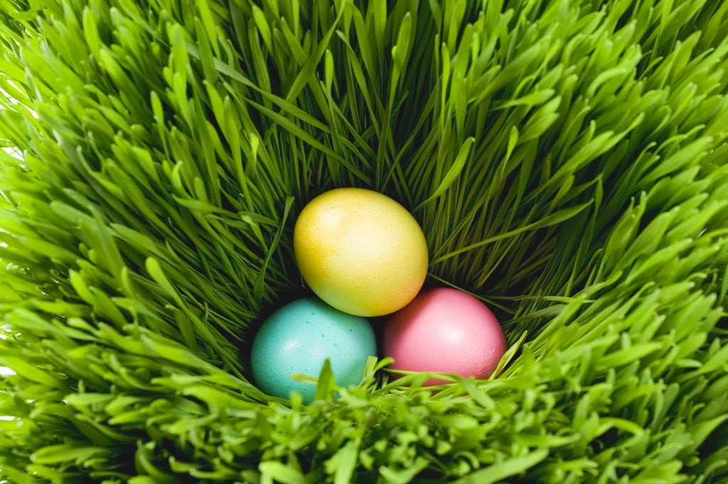 Detail of Three Easter eggs in grass by Anonymous