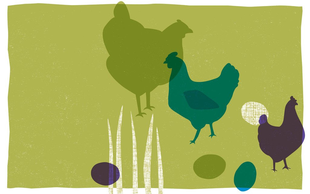 Detail of Chickens by Anonymous