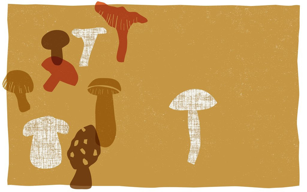 Detail of Mushrooms by Anonymous