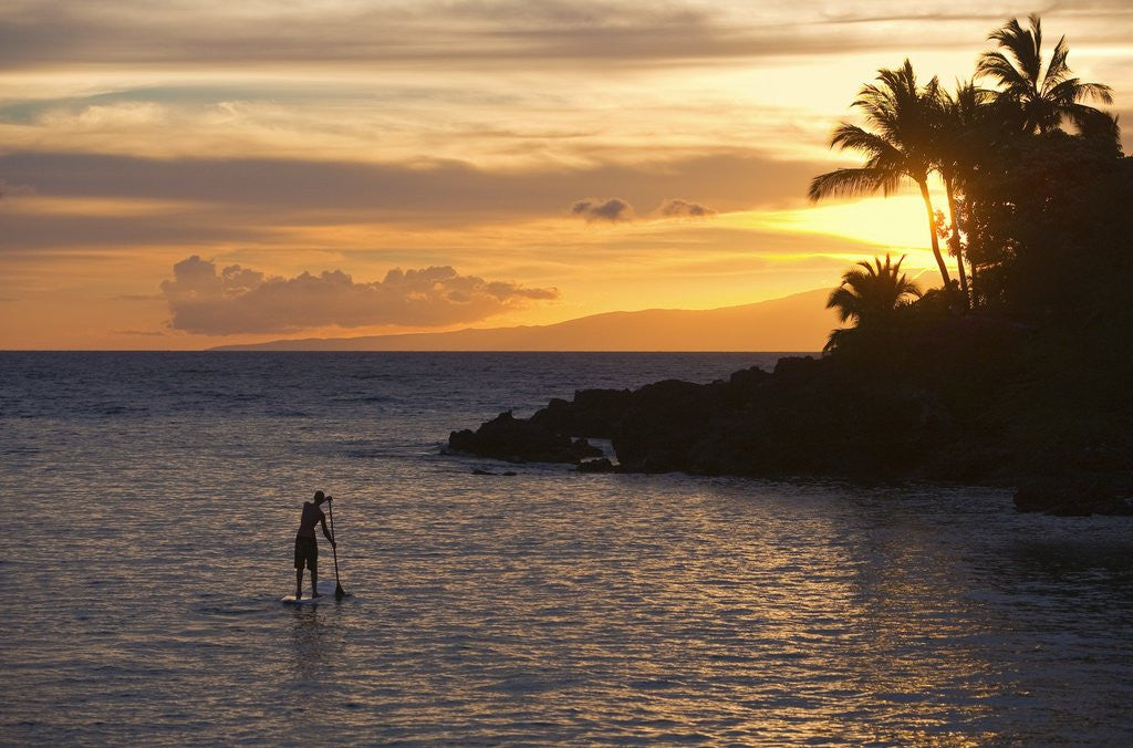 Detail of Stand-up paddler at sunset on Maui, Hawaii by Anonymous